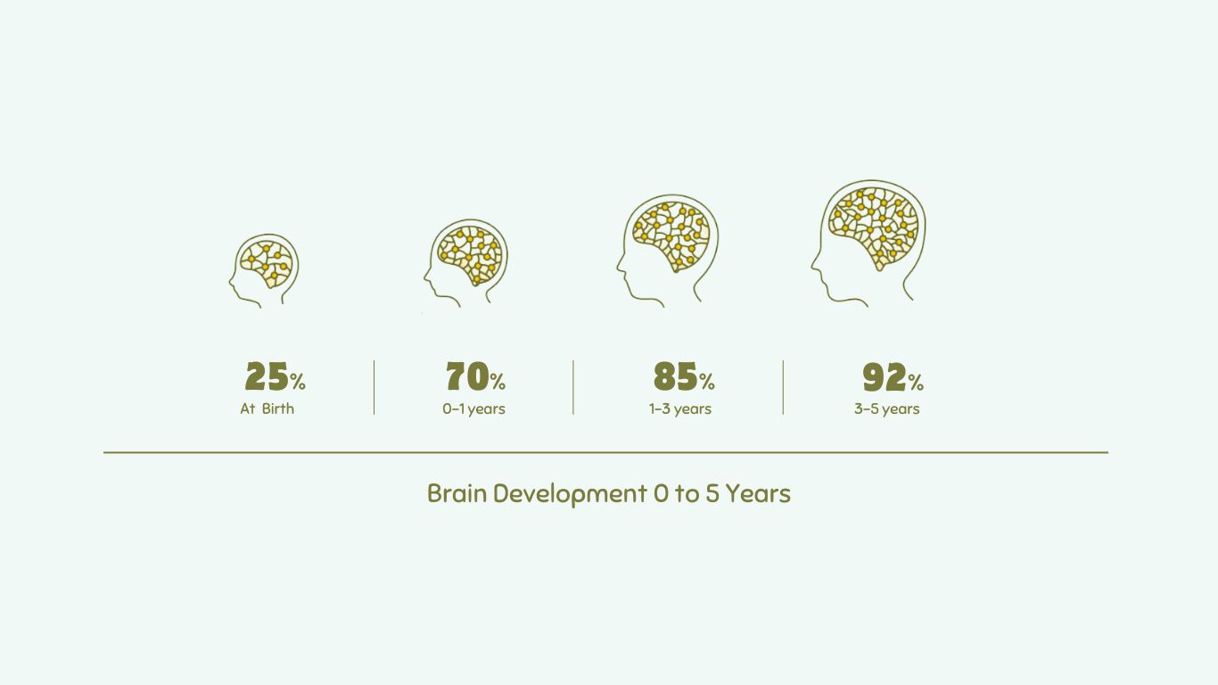 Pirati Foundation The i School KG brain development